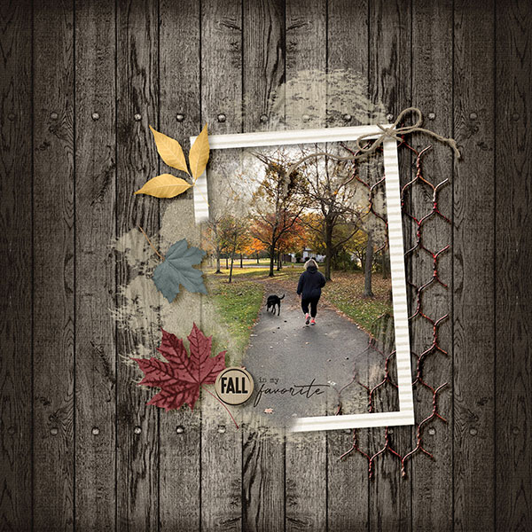 Fall Is My Favorite