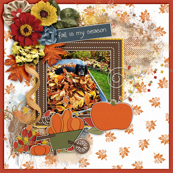 Fall-is-my-season