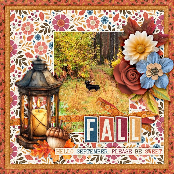 Fall.jpg