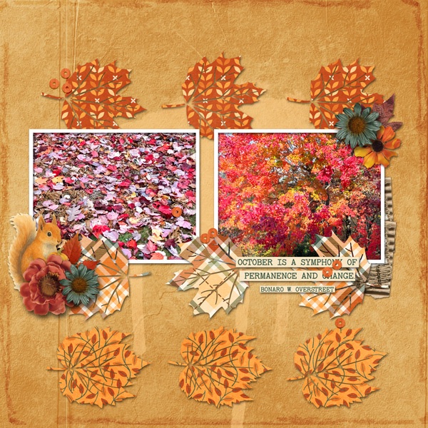 Fall.jpg