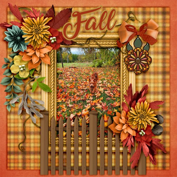 Fall.jpg