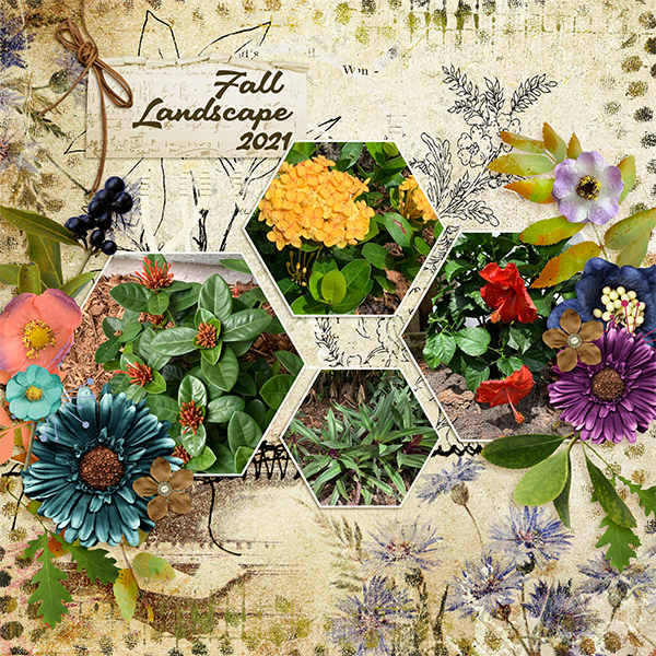 Fall Landscaping September 2021