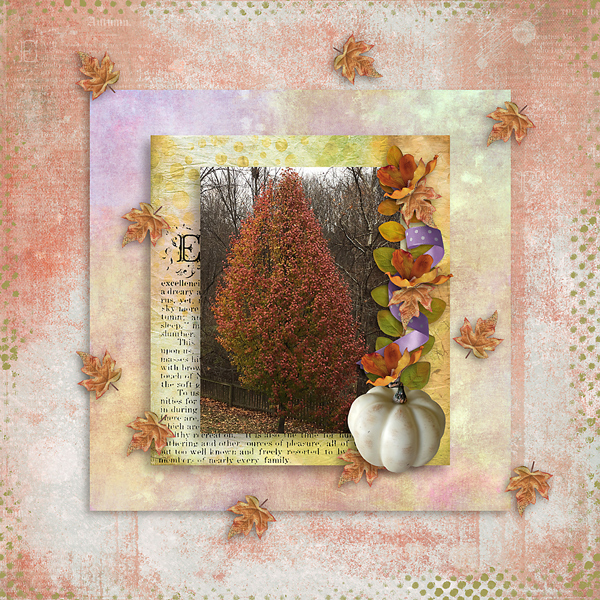 Fall Layout