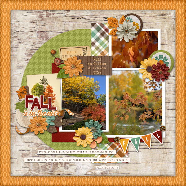 Fall leaves 2022