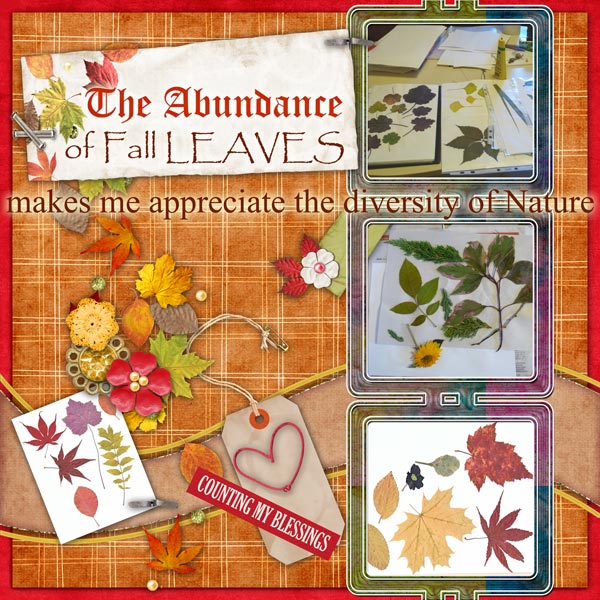 Fall Leaves Abundance