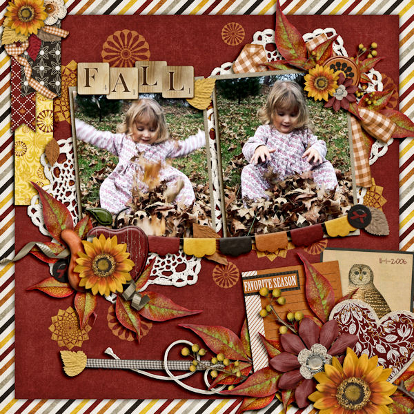 Fall Leaves