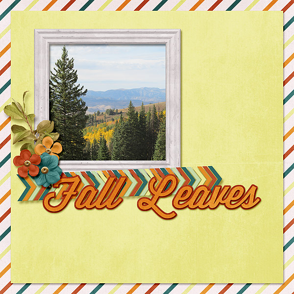 Fall Leaves