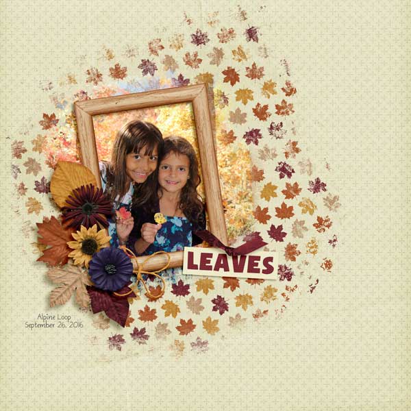 Fall Leaves