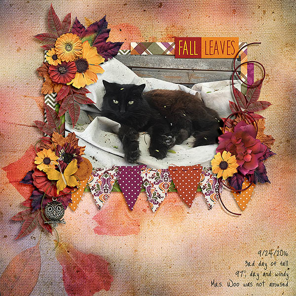 Fall Leaves