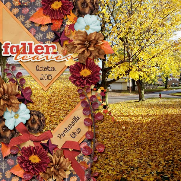Fall leaves
