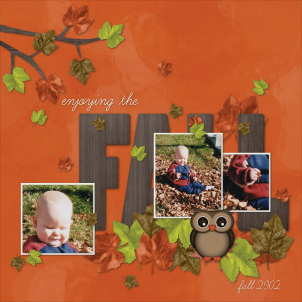 Fall Leaves