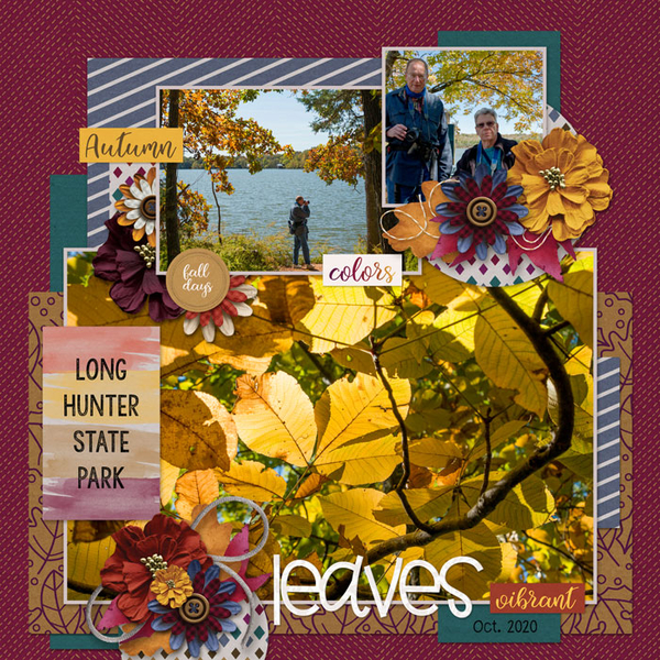 Fall Leaves