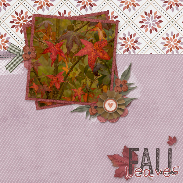 Fall Leaves
