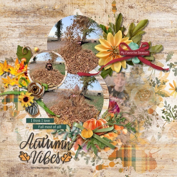 Fall Leaves