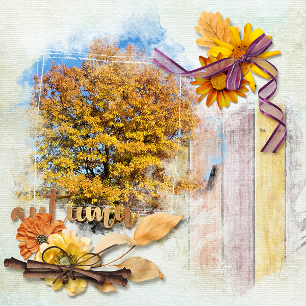 Fall Leaves