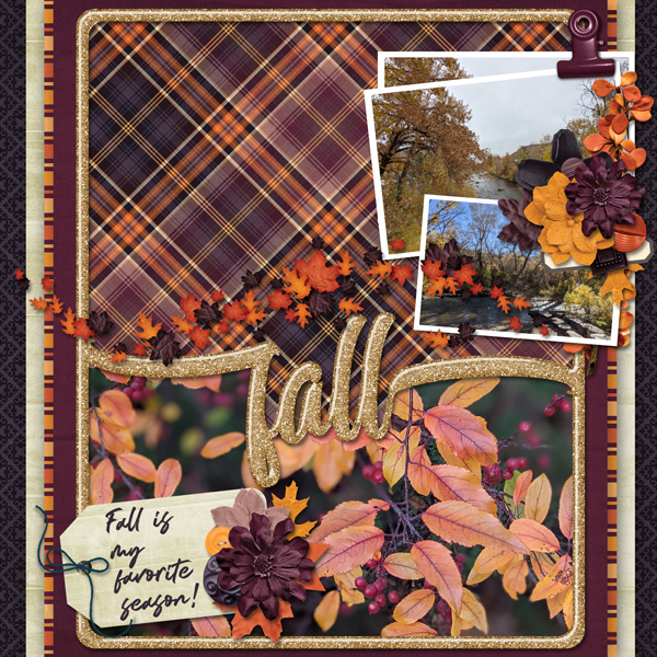 Fall Leaves