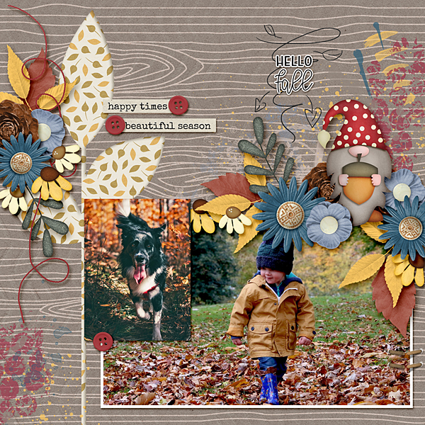 Fall Leaves