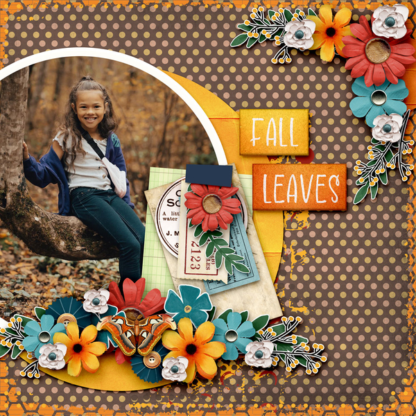 Fall Leaves