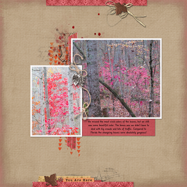 Fall Leaves
