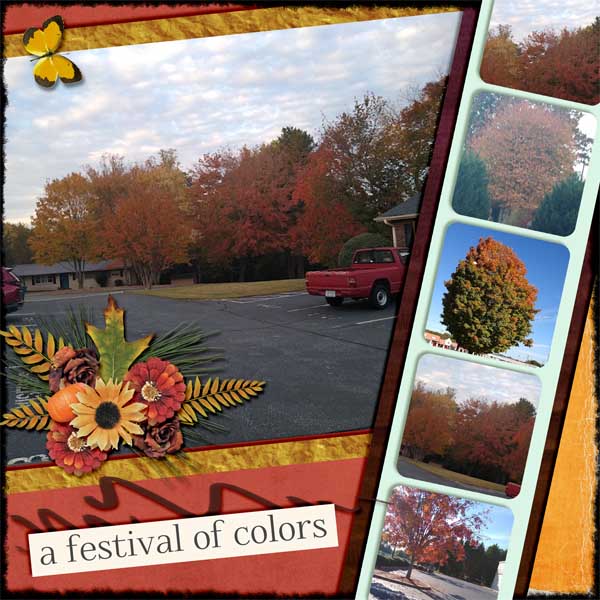 Fall Leaves