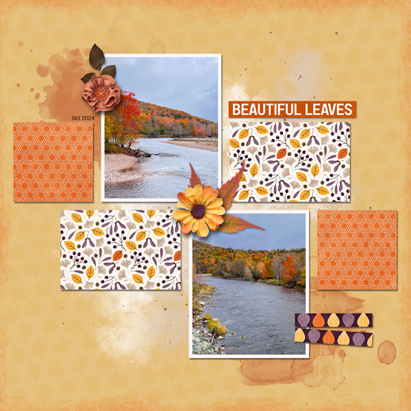 Fall Leaves