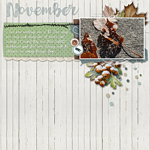 Fall leaves