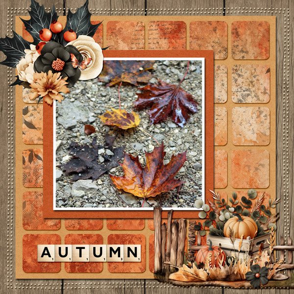 fall leaves
