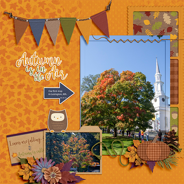 Fall- Lexington, MA
