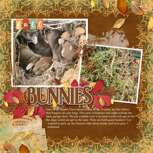 Fall Market from Designs by Connie Prince