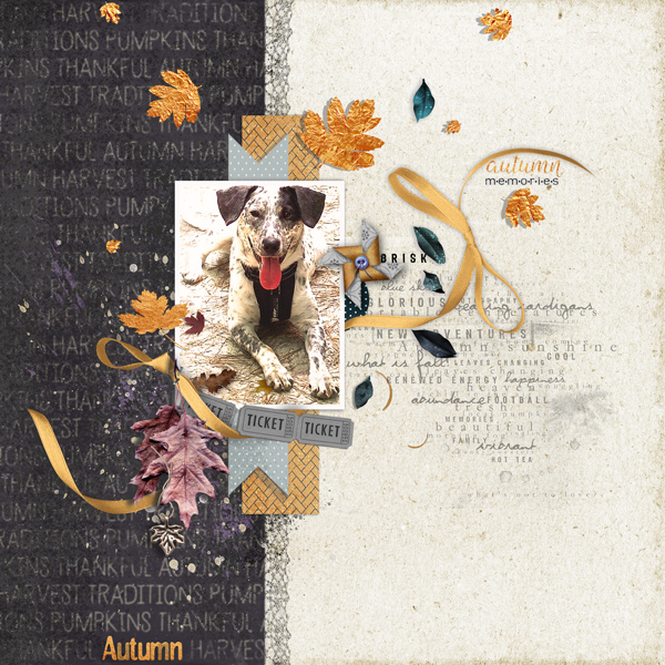 Fall-Memories