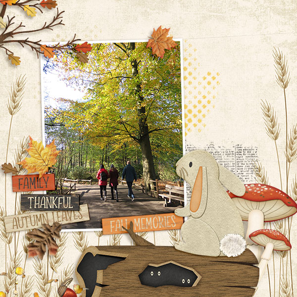 Fall Memories