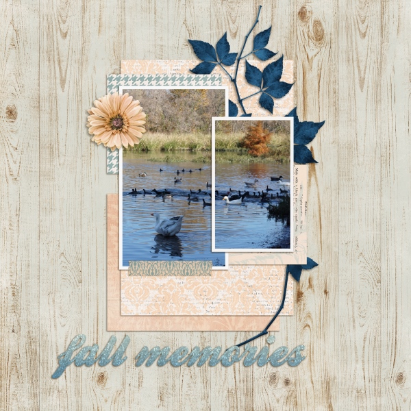 Fall memories