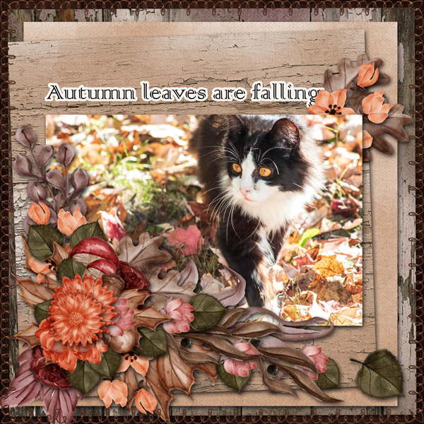 fall memories