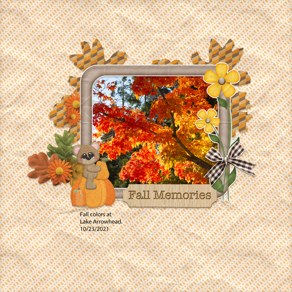 Fall Memories