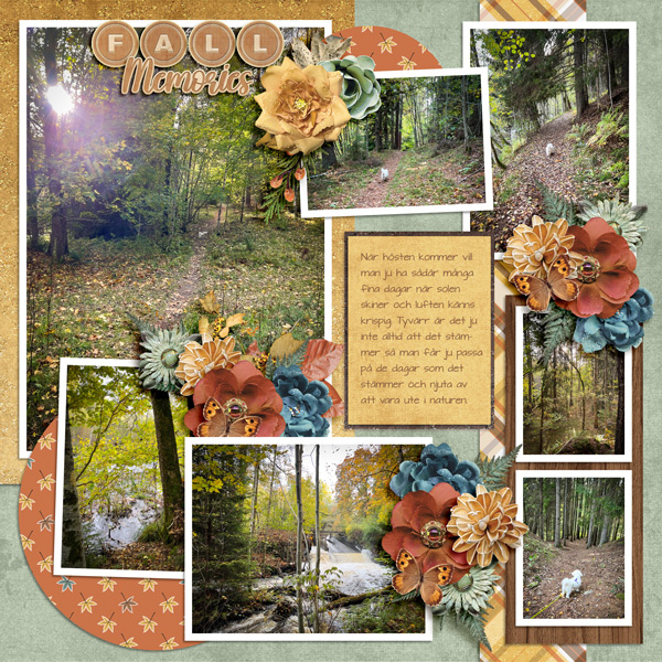 Fall Memories