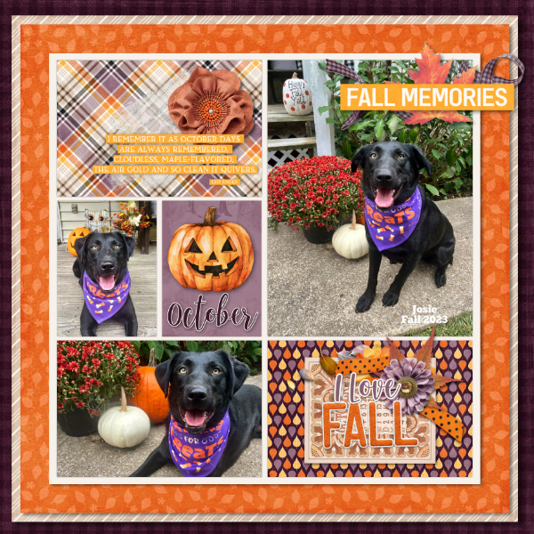Fall Memories
