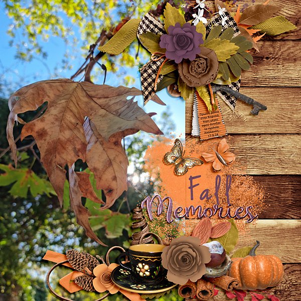 Fall memories