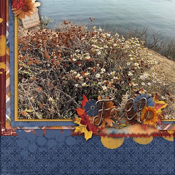 Fall Morro Bay Ca