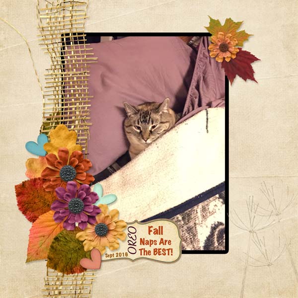 Fall Nap