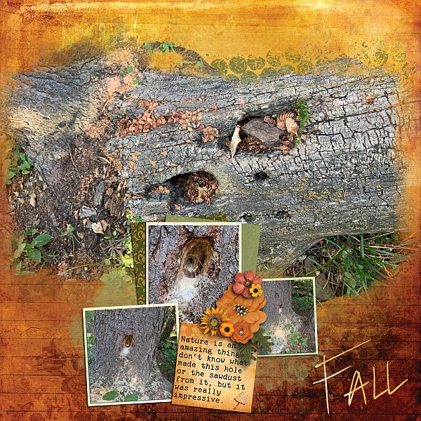 Fall Nature is Amazing