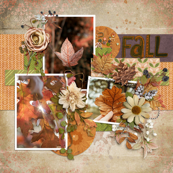 Fall November Fun