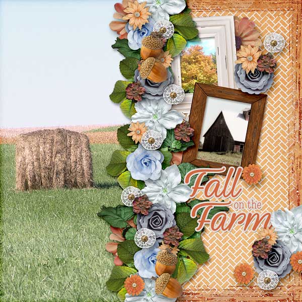 Fall On The Farm
