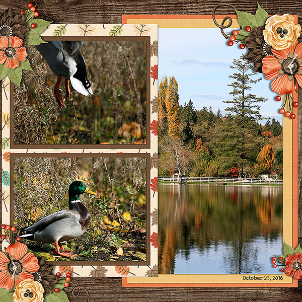 Fall on the Lake 2016