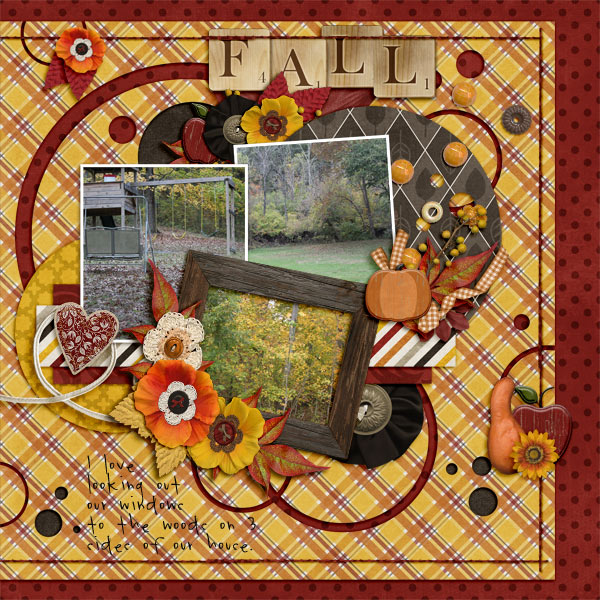 Fall outside my windows