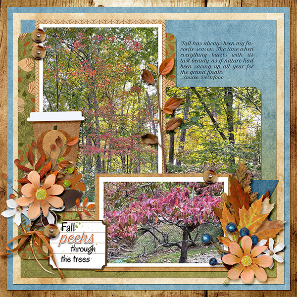 Fall Peeks