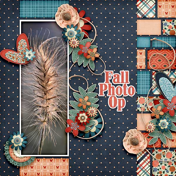 Fall Photo Op