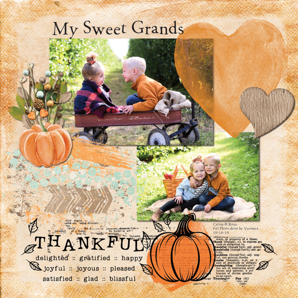 Fall Photo Shoot 10-18-19