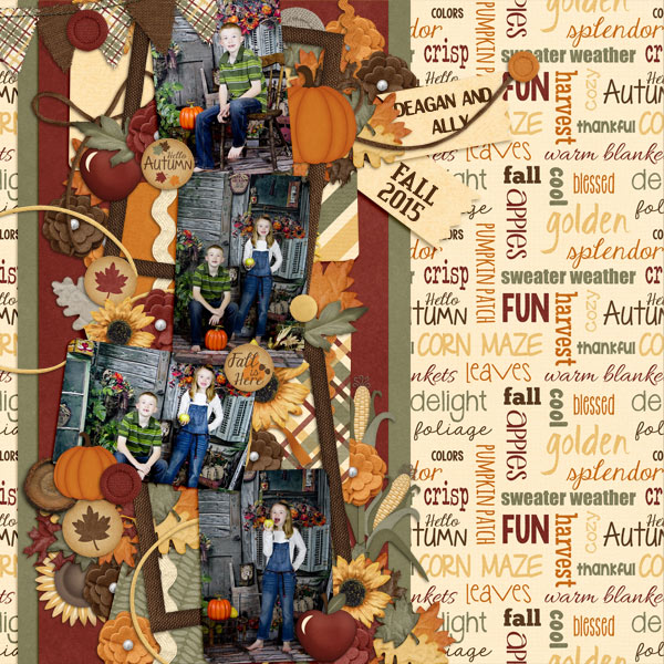Fall Photos 2015