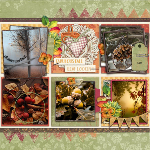 Fall Photos