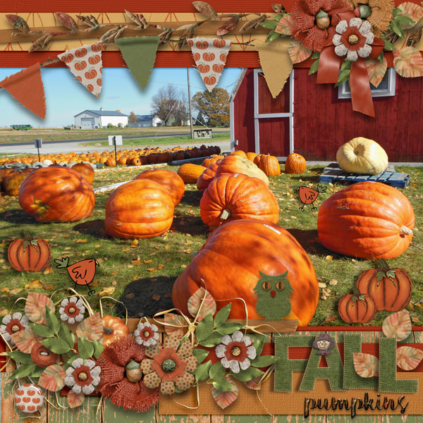 Fall Pumpkins